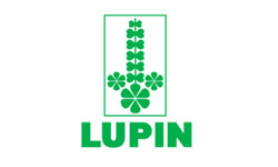 lupin